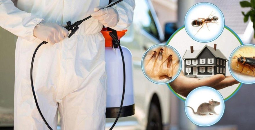 Zara Böcek İlaçlama