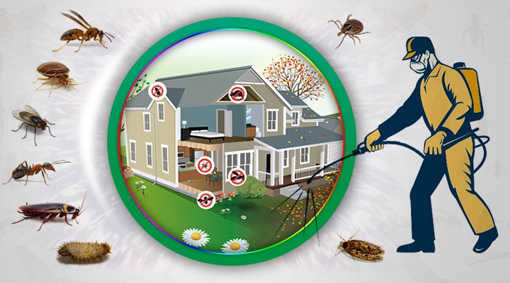 Zara Böcek İlaçlama