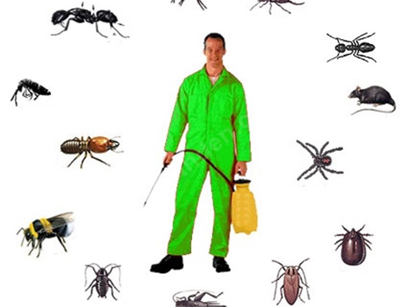 Zara Böcek İlaçlama